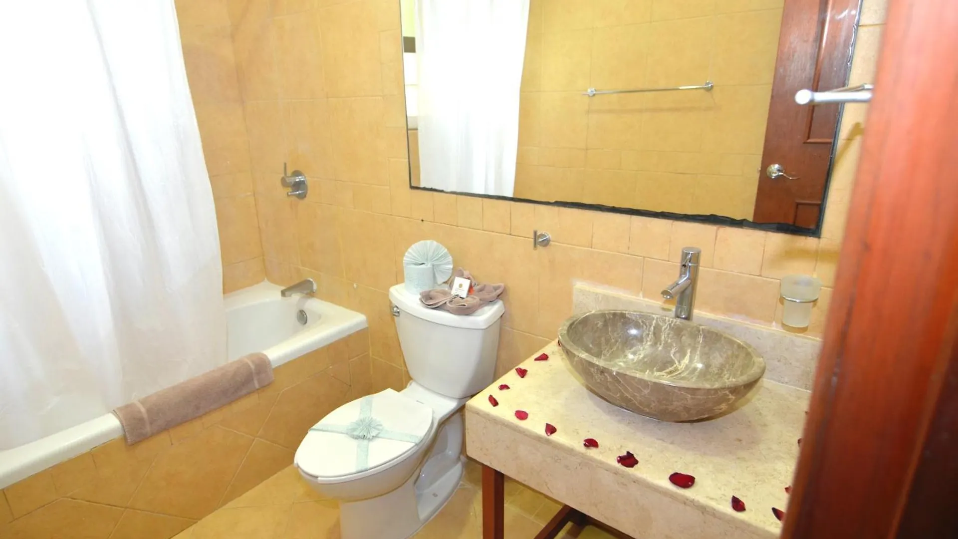アパートホテル Rinconada Del Mar Apts プレヤデルカーメン メキシコ